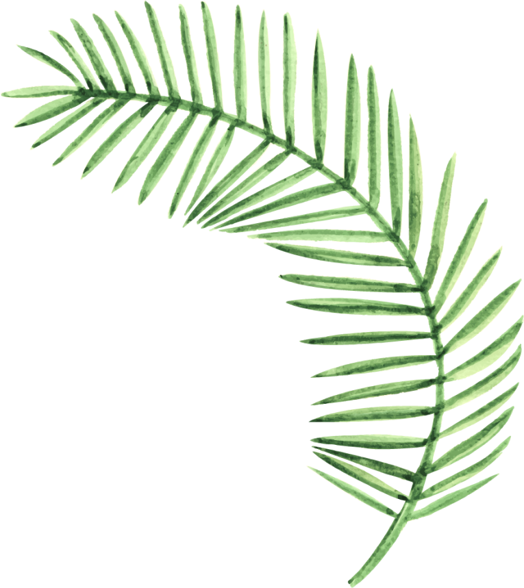 twig